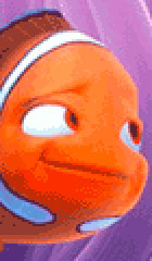 Coral - Procurando Nemo - AnimeComics